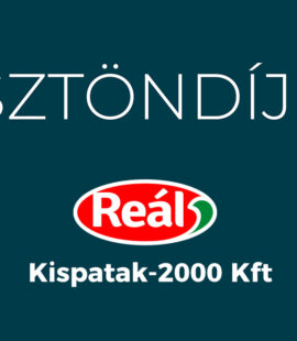 Kispatak-2000 Kft. ösztöndíj