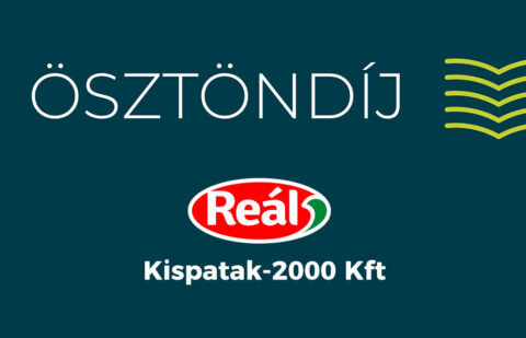 Kispatak-2000 Kft. ösztöndíj